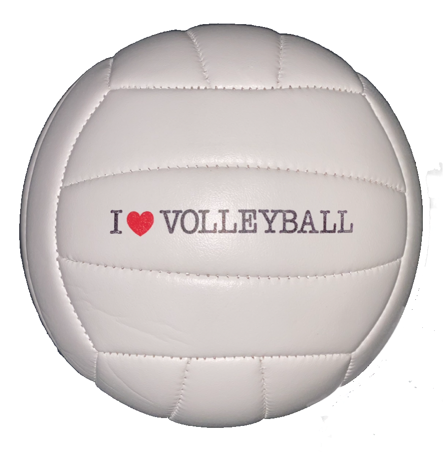 Miniature Volleyball