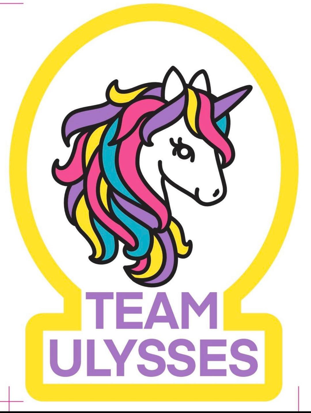 Unicorn Team Ulysses